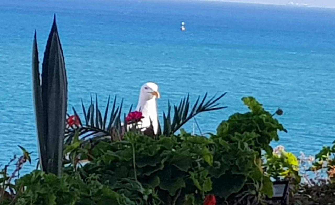 Appartement Bord De Mer Et Piscine En Option Tanca Dış mekan fotoğraf